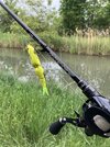 IMG_7176.jpeg