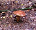 IMG_20251023_150547.jpg
