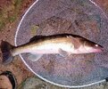 IMG_20251023_194013_120~2.jpg