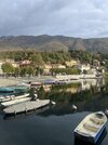 IMG_9137.jpeg IMG_9137.jpeg