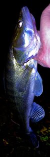 IMG_20251024_230552.jpg
