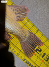 IMG_1456.jpeg