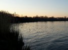 2018-02-18 19.18.32.jpg 2018-02-18 19.18.32.jpg
