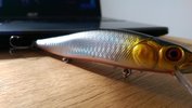 Big Minnow  23 gramm 14 cm.jpg