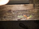 20180308_194036.jpg 20180308_194036.jpg