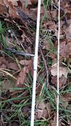 20180106_143501.jpg 20180106_143501.jpg