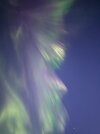 IMG_7620.jpeg