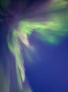 IMG_7619.jpeg