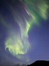 IMG_7618.jpeg