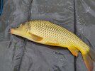 IMG_20260419_084123.jpg
