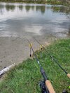 IMG_20260419_084931.jpg