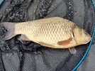 IMG_20260419_095011.jpg