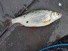 IMG_20260419_100054.jpg