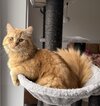 IMG_3330.jpeg