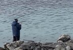IMG_8198.jpeg