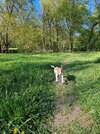 20260423_171125.jpg