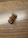 IMG_4583.jpeg