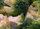 1 Broccoli 260424.jpg