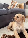 IMG_3096.jpeg