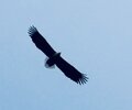IMG_8556.jpeg