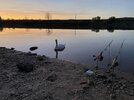 IMG_1967.jpg