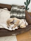 IMG_1270.jpeg