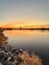 IMG_1359.jpeg