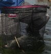 IMG_3482.jpeg