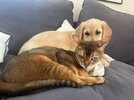 IMG_3429.jpeg