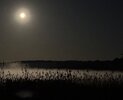 IMG_8649.jpeg