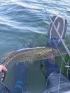 IMG_20260502_185324.jpg