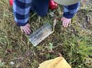 IMG_1331.jpeg