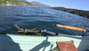 IMG_0792.jpeg