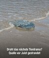 IMG_1839.jpeg