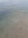 20260507_152349.jpg