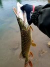 20260507_152333.jpg