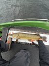 IMG_2727.jpeg