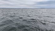IMG-20260507-WA0001.jpeg