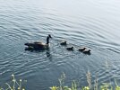 IMG_0946.JPG