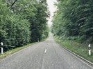 IMG_0953.JPG