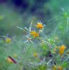 LS_09920a.JPG