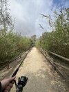 IMG_0182.jpeg