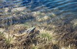 IMG_2870.jpeg