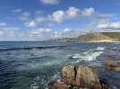IMG_2683.jpeg