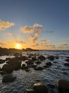 IMG_2687.jpeg