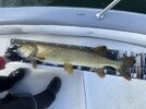 IMG_5047.jpeg IMG_5047.jpeg