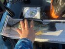IMG_9286.jpeg