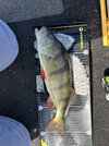 IMG_1507.jpeg