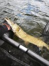 IMG_20260516_143726.jpg