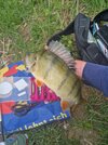 20260517_121151.jpg